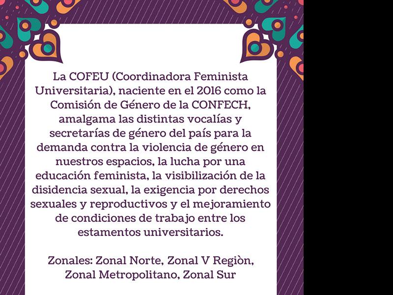 Volante Coordinadora Feminista Universitaria (COFEU), 2018. Donación Amanda Mitrovich- COFEU.